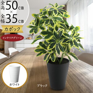 tFCNO[  VFt J|bN lC  A CeAO[ lHϗtA  lH ϗtA A[gO[ A[gvc IuWF CeA Ƌ