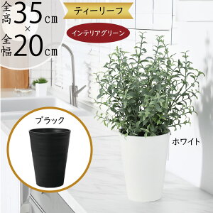 tFCNO[  lC A  CeAO[ ^   lHϗtA  lH CeA IuWF A[gO[ {  t i