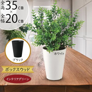 tFCNO[  lC A  CeAO[ ^  lHϗtA  lH CeA IuWF A[gO[ {  t i`