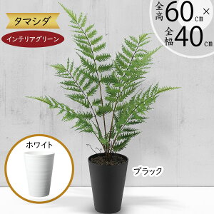 tFCNO[  lC A  CeAO[ lHϗtA   CeA IuWF A[gO[ {  t e[u TCY Mt