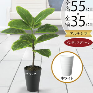 AeV}  lC tFCNO[ A CeAO[ A[gvc lHϗtA ϗtA lH  A[gO[ CeA IuWF  tBJX Ae