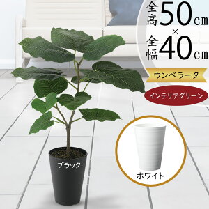 Ex[^ tFCNO[  ϗtA A lC A[gvc  CeAO[ CeA  A[gO[ lHϗtA lH { ^ 