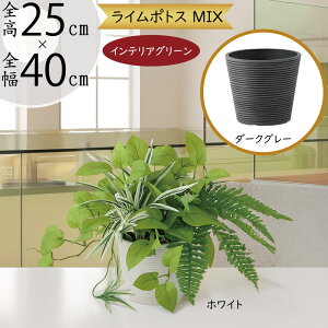 |gX tFCNO[  lC CeAO[ A C|gX ^  fXN lHϗtA ϗtA lH  CeA IuWF Ƌ   rO 