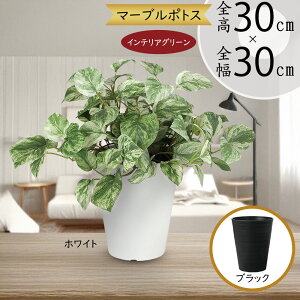 |gX tFCNO[  lC CeAO[ A }[u|gX ^  fXN lHϗtA ϗtA   CeA IuWF Ƌ   rO Q