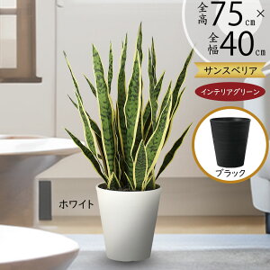 tFCNO[ A TZxA TXxA  lC A  CeAO[ lHϗtA lH  A[gO[ ϗtA  CeA Mtg