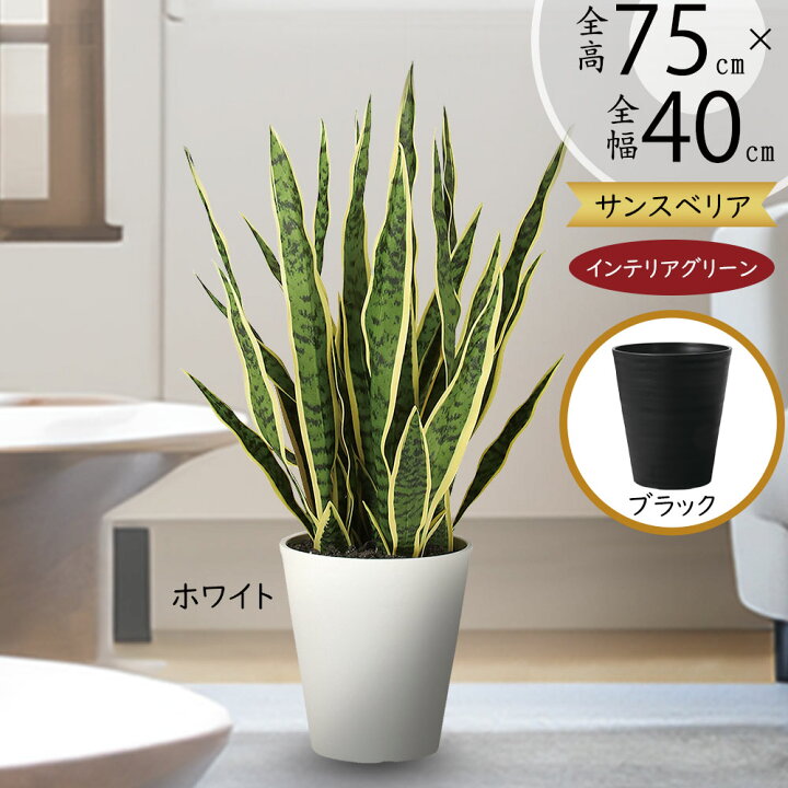 楽天市場】フェイクグリーン 多肉植物 サンセベリア サンスベリア 