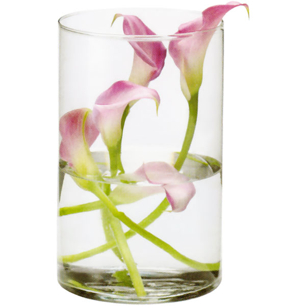 ガラス花器 円柱型 全高25cm×直径15.5cm 透明クリア 硝子 花瓶 花器 花入れ フラワーベース 筒形 筒型 シリンダー アレンジ  ディスプレイ 装飾 | グリーンランド