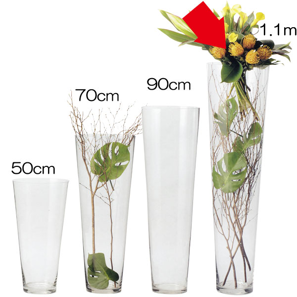 観葉植物 花瓶 ガラス 30cmの人気商品・通販・価格比較 - 価格.com