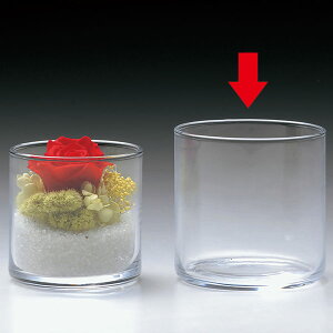 観葉植物 花瓶 ガラス シリンダーの人気商品 通販 価格比較 価格 Com