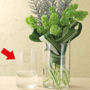 観葉植物 花瓶 ガラス シリンダーの人気商品 通販 価格比較 価格 Com