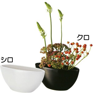 t[x[X  Ԋ lC   zCg ubN Z~bN CeA ԕr Ƌ ֑} u[P ԑ t[AWg IuWF Mtg v[g 蕨 Vzj 