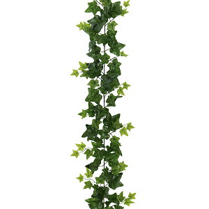 観葉植物 つたの人気商品 通販 価格比較 価格 Com