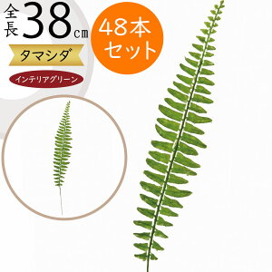 ^}V_ tFCNO[  CeAO[ A lHϗtA ϗtA  A[eBtBVt[ t t ԍ ʃV_ ltsX t[AWg 