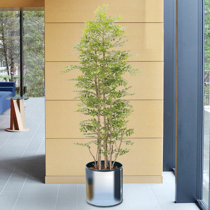 楽天市場 人工植物 トネリコ ライトグリーン 全高1 2m シマトネリコ 人工観葉植物 人工樹木 造花 リーフ インテリアグリーン フェイクグリーン オブジェ ディスプレイ グリーンランド