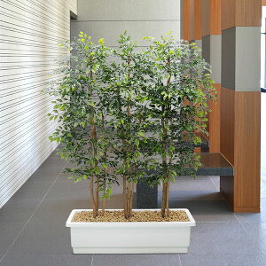 目隠し Diy 室内 観葉植物の人気商品 通販 価格比較 価格 Com