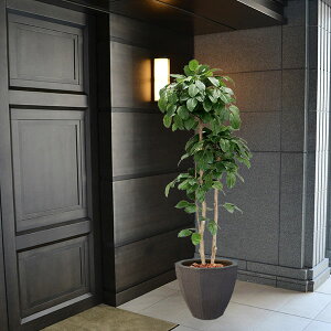 観葉植物 人工観葉植物 ボダイジュの人気商品 通販 価格比較 価格 Com