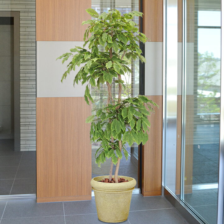楽天市場】フェイクグリーン 大型 おしゃれ 人気 リアル 観葉植物 