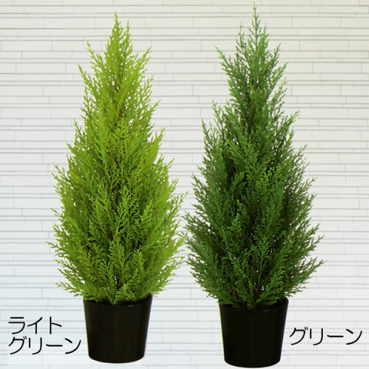 楽天市場 屋外にも対応 人工観葉植物 全高60cm ゴールドクレスト コニファー 人工樹木 造花 フェイクグリーン オブジェ 野外対応 戸外 室内可 アウトドア 屋外用 庭 バルコニー ファサード テラス グリーンランド 楽天市場 屋外にも対応 人工観葉植物 全高60cm ゴールドクレスト コニファー 人工樹木 造花 フェイクグリーン オブジェ 野外対応 戸外 室内可 アウトドア 屋外用 庭 バルコニー ファサード テラス グリーンランド