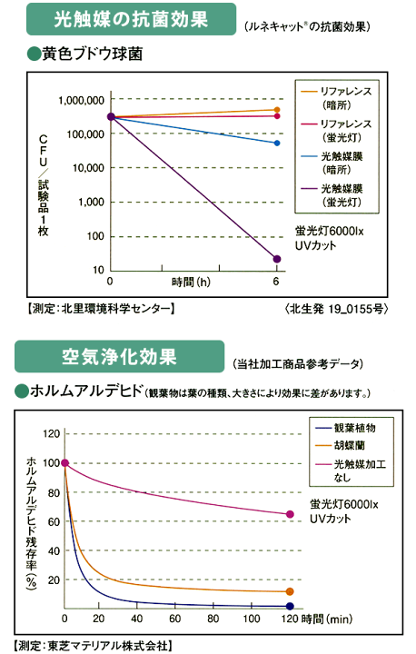 光触媒　人工観葉植物　フェイクグリーン　胡蝶蘭　ピュアオーキッド2本立ホワイト 光触媒 人工観葉植物 フェイクグリーン 胡蝶蘭 ピュアオーキッド