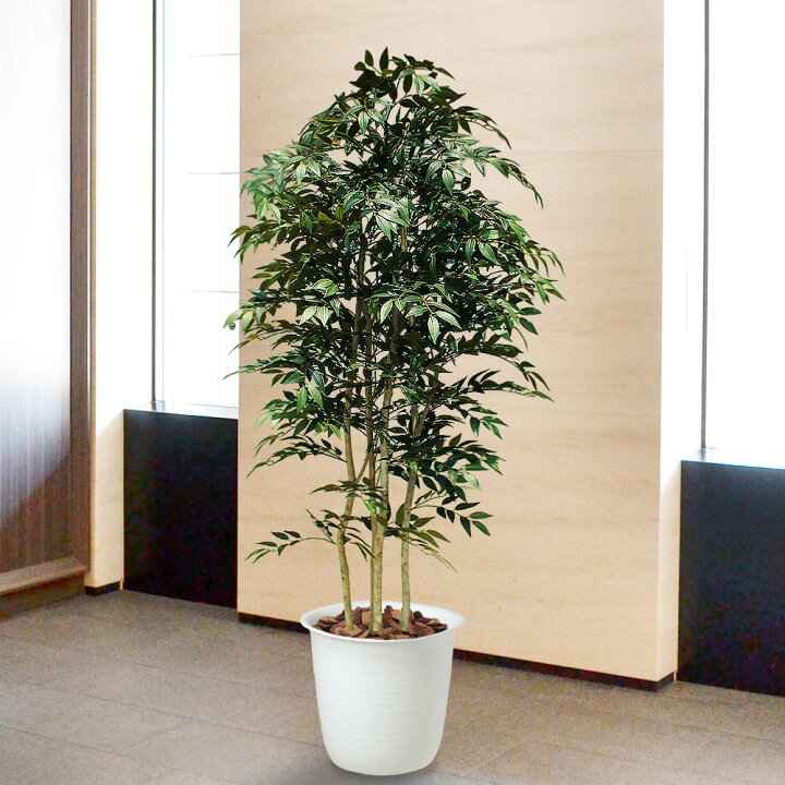 楽天市場 全高1 8m フランス フィカス ベンジャミン 人工観葉植物 配送制限あり フェイクグリーン 人工樹木 造花 インテリアグリーン オブジェ ディスプレイ グリーンランド
