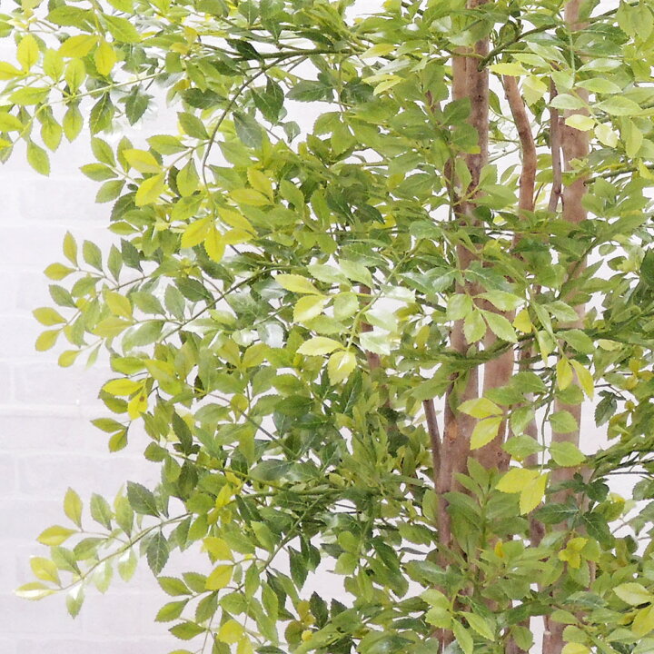 楽天市場 全高1 2m トネリコ ライトグリーン 人工観葉植物 フェイクグリーン シマトネリコ 人工樹木 造花 インテリアグリーン オブジェ ディスプレイ グリーンランド