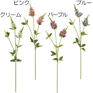 観葉植物 トラノオの人気商品 通販 価格比較 価格 Com