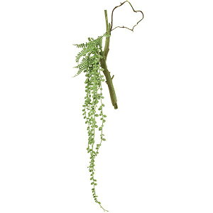 観葉植物 グリーンネックレス ハンギング Diy 工具の人気商品 通販 価格比較 価格 Com