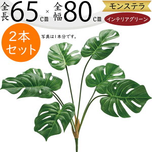 tFCNO[ Xe ϗtA lC  A CeAO[  lHϗtA lH t IuWF A[gO[ t[AWg ԍ t {