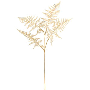 アスパラガス 観葉植物の人気商品 通販 価格比較 価格 Com アスパラガス 観葉植物の人気商品 通販 価格比較 価格 Com
