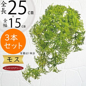  RP tFCNO[  lC  X CeAO[ A A[gvc lHϗtA  A[gO[ ԍ IuWF t[AWg fBXvC G