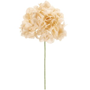 z    AWTC lC A A[eBtBVt[ lHϗtA CeAO[ A[gt[ G tFCNO[ nChWA t[A