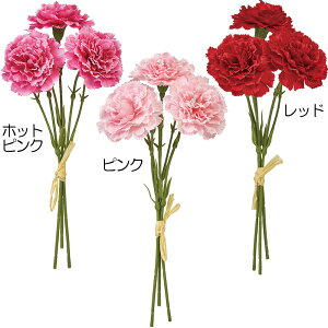 J[l[V  lC  A A[eBtBVt[ lHϗtA CeAO[ A[gt[ G tFCNO[ t[AWg fBXvC 