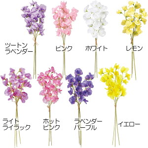 XC[gs[   XCgs[ lC A A[eBtBVt[ t[AWg fBXvC pi CeA G Ƌ IuWF lHϗtA tFCN M