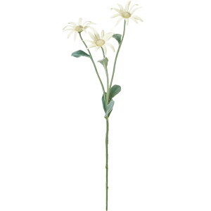 f[W[   fCW[ A A[eBtBVt[ lHϗtA CeAO[ A[gt[ G tFCNO[ t[AWg fBXvC 