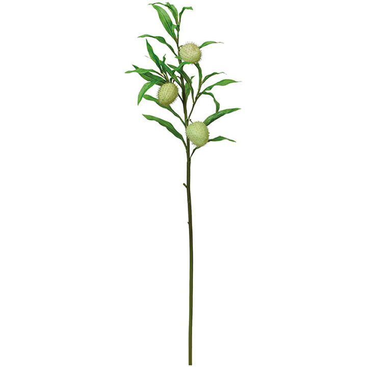 楽天市場 フウセントウワタ 造花 全長90cm 3本セット 風船唐綿 人工観葉植物 アーティフィシャルフラワー グリーンランド