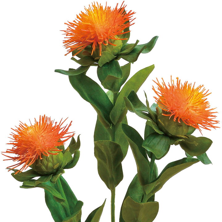 楽天市場 紅花 造花 全長60cm 3本セット ベニバナ アーティフィシャルフラワー 人工観葉植物 グリーンランド