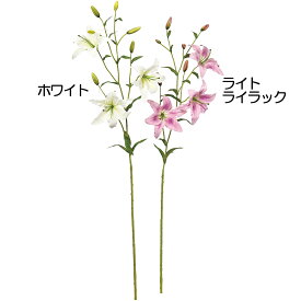 楽天市場 ライラック 種類 植物 カサブランカ 花 ガーデン Diy の通販