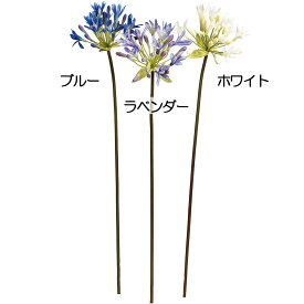楽天市場 アガパンサス 球根の通販