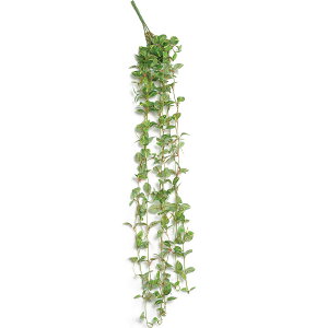観葉植物 ポトス ハンギングの人気商品 通販 価格比較 価格 Com 観葉植物 ポトス ハンギングの人気商品 通販 価格比較 価格 Com