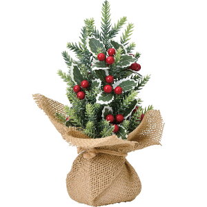 観葉植物 クリスマス ツリー 卓上の人気商品 通販 価格比較 価格 Com