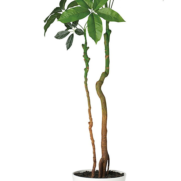 フェイクグリーン シャラの木10 フェイクグリーン 人工観葉植物 専門店グリーンコフレ 人工低木植物偽シルクシェフフレラブッシュ本当のタッチ Ciudaddelmaizslp Gob Mx