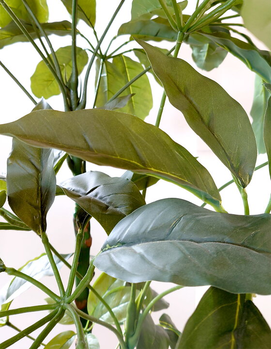 旧トップページ人工観葉植物 人工観葉植物はasgreen 人工低木植物偽絹シェフフレラブッシュリアルタッチ偽の緑の葉の配置 Foirephoto Bievre Com