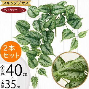 tFCNO[ lC  A ϗtA CeAO[ lHϗtA  A[gO[ lH ԍ t  CeA IuWF t[AWg fBXvC