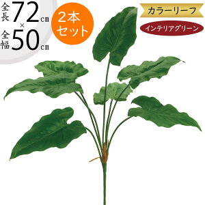 tFCNO[ lC  A ϗtA CeAO[ lHϗtA  A[gO[ lH ԍ t  CeA IuWF t[AWg fBXvC