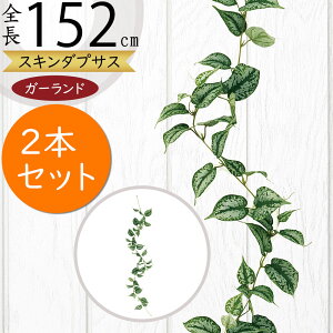 K[h  lC  tFCNO[ CeAO[ lHϗtA  A[eBtBVt[  A fR[V fBXvC t ǖʑ V 