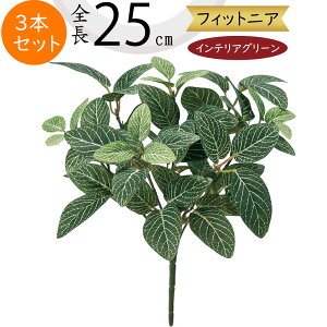 tFCNO[  lC CeAO[ A lHϗtA  lH A[gvc A[gO[ ϗtA ChAO[ CeA G IuWF ԍ t 