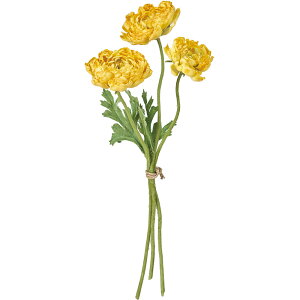 iLX   lC A A[eBtBVt[ Mtg v[g t[AWg fBXvC G CeA Ƌ pi ԍ Cxg ꑕ 