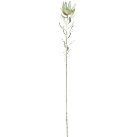 【造花】おしゃれ インテリア リューカデンドロン 全長75cm 4本セット リュウカデンドロン 人工観葉植物 アーティフィシャルフラワー