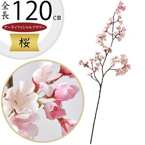   TN  ^  lC A A[eBtBVt[ lHϗtA CeAO[ tFCNO[ A[gt[ t[AWg ԍ fBXv