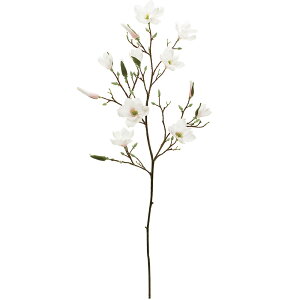 }OmA  ^ ؘ@ N  lC A[eBtBVt[ Mtg v[g A t[AWg fBXvC  ԍ  A[gt[ Ce